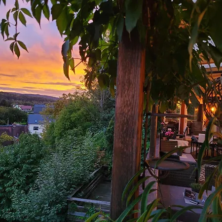 Restaurant & Zur Falkenhoehe 3* Falkenau