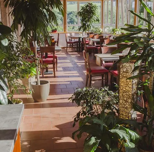 Restaurant & Zur Falkenhoehe بيت ضيافة 3*